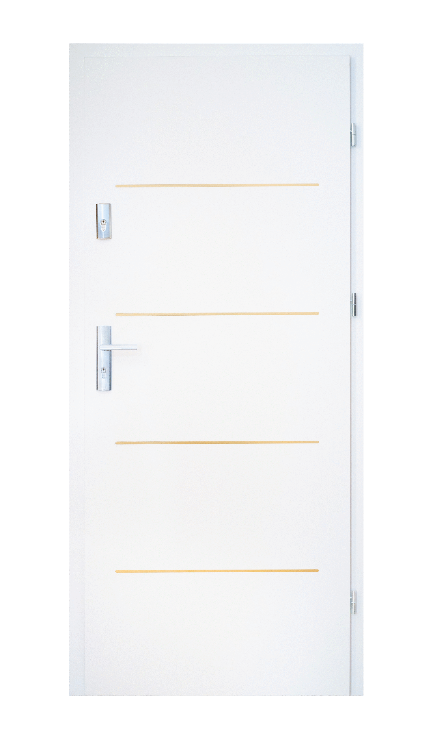 Entrada PRO 06